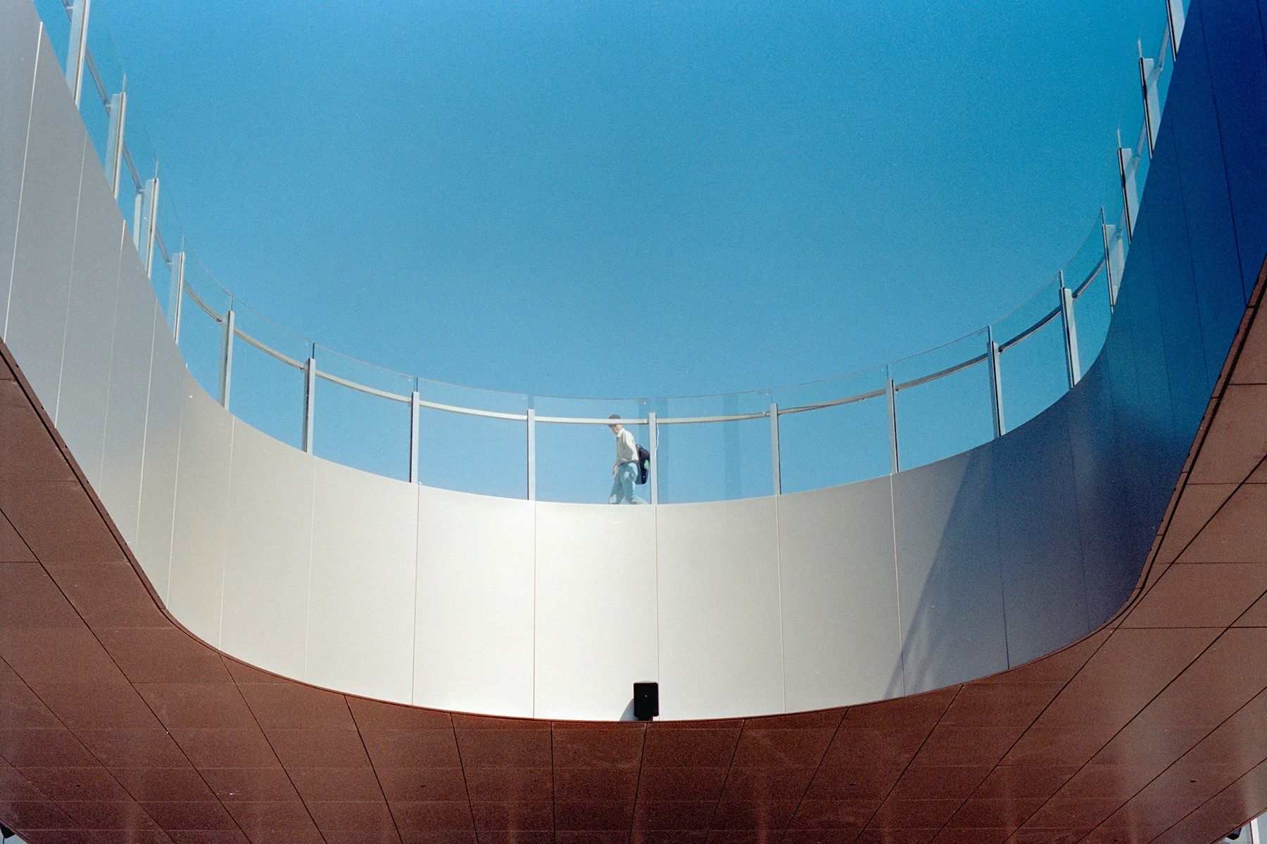 Insights for growing strong and resilient brands